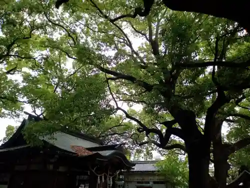 天神社（桑津天神社）(大阪府)