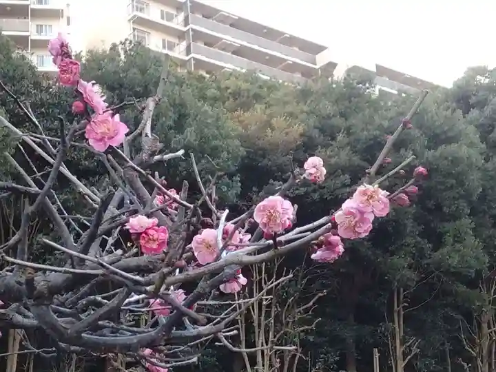 大善寺(神奈川県)