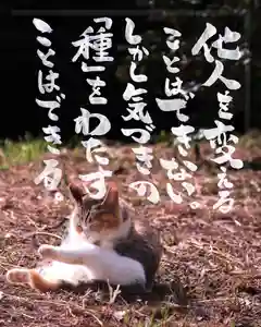 専念寺(大阪府)(2022年10月23日(日) 19時50分59秒投稿)