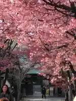 寿福寺(東京都)