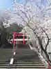 徳島眉山天神社の鳥居