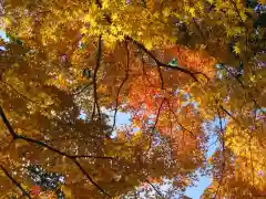 猿田彦神社の自然