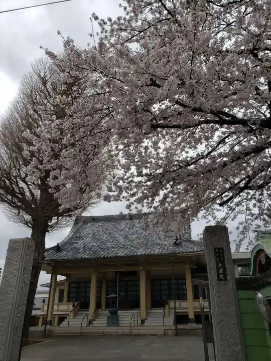 正蔵院(東京都)