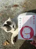 春日神社の御朱印