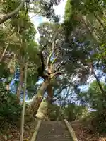 高谷神社の自然
