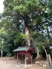 住吉神社(千葉県)