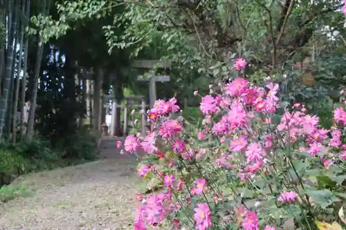 神原田神社の鳥居