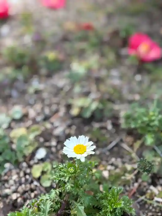 下太田廃寺塔跡(兵庫県)