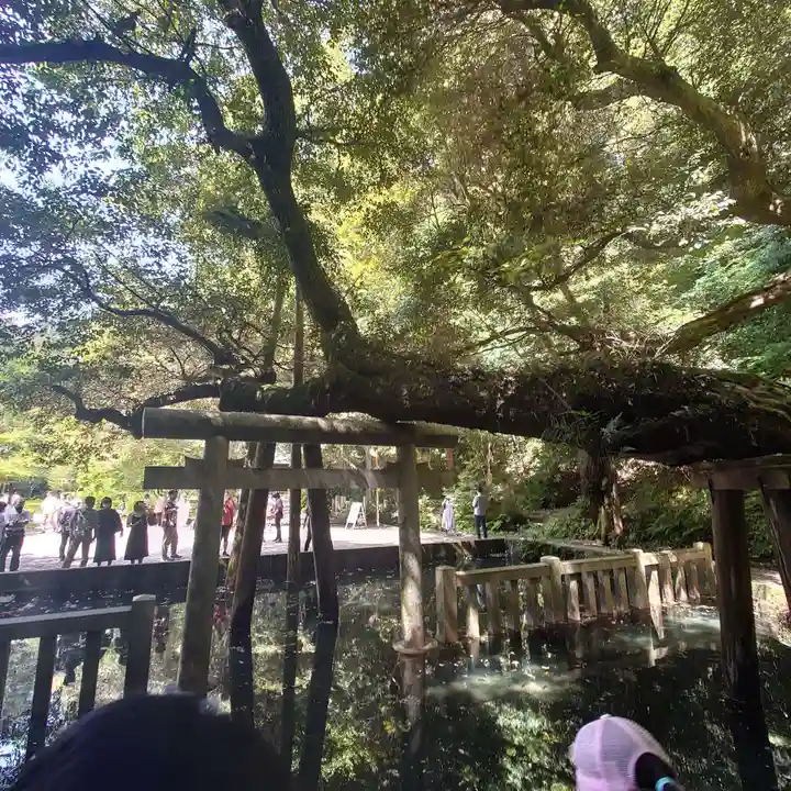 鹿島神宮(茨城県)