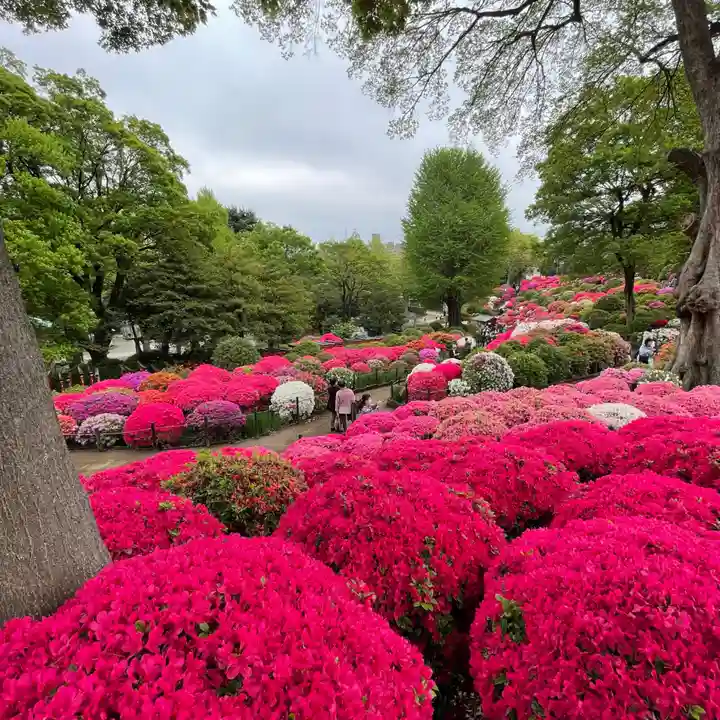 根津神社の自然
