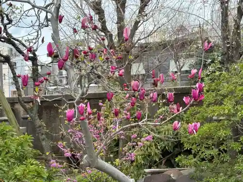 霊巌寺(東京都)