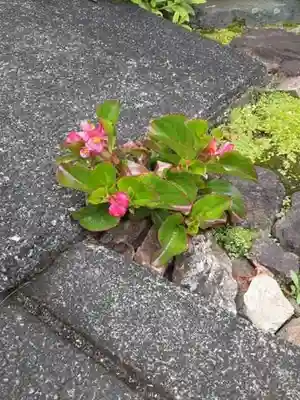 西方山極楽寺の自然