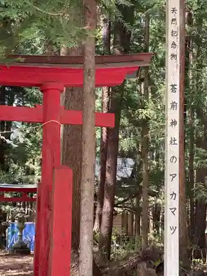 蒼前神社(岩手県)