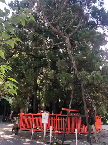 香椎宮(福岡県)