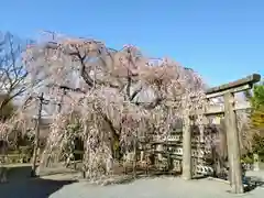 大石神社(京都府)