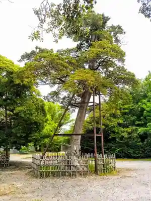 野田八幡宮のその他建物