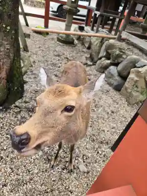 氷室神社(奈良県)