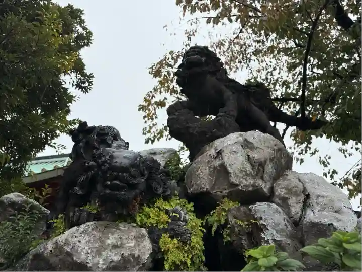 神田神社(神田明神)の狛犬