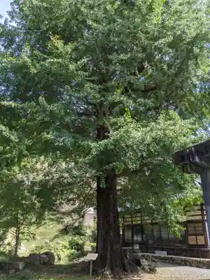 大福寺(静岡県)