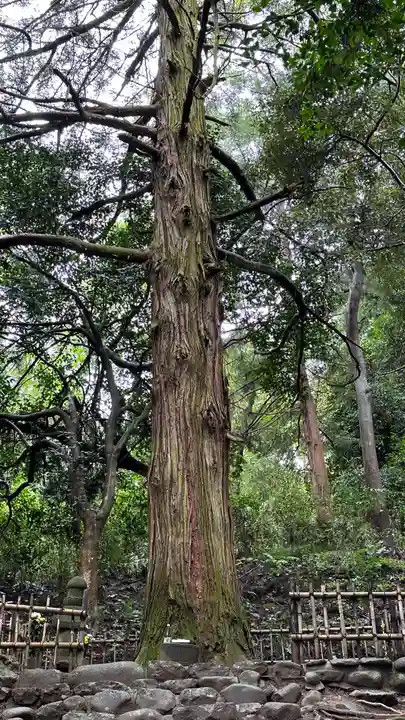 傑山寺(宮城県)