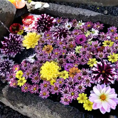大鏑神社の手水舎