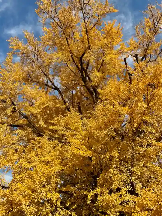 善福寺(東京都)