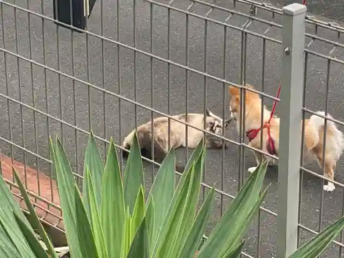 宣隆寺(三重県)