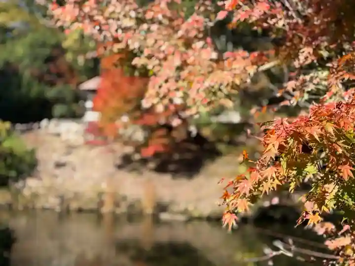 成相寺(京都府)