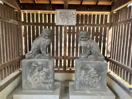 川口神社(埼玉県)