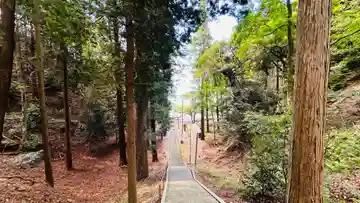 熊野神社(福井県)