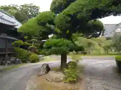 鏡忍寺の建物その他