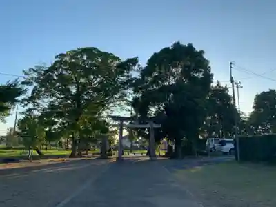 白幡神社(千葉県)