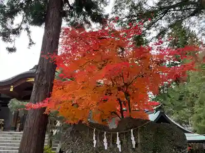 諏訪大社下社秋宮(長野県)