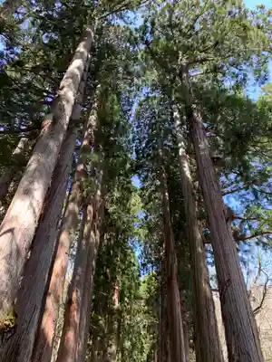 戸隠神社奥社の周辺