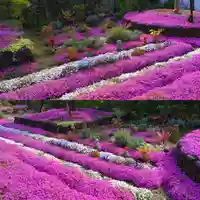 寿量山 速成寺の自然