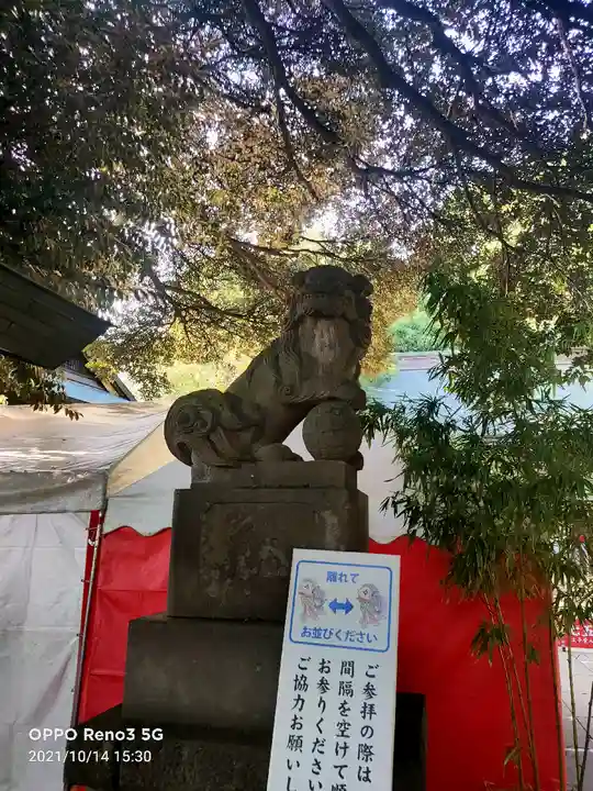 太子堂八幡神社の狛犬