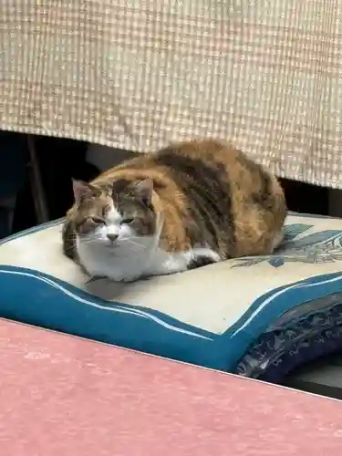 賀茂別雷神社(栃木県)