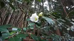 慈照寺（慈照禅寺・銀閣寺）の自然