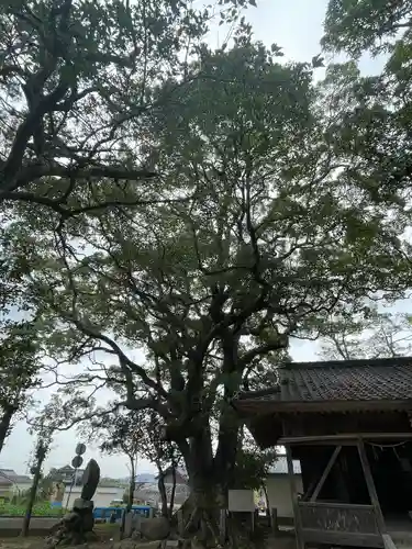 天八幡神社(福岡県)