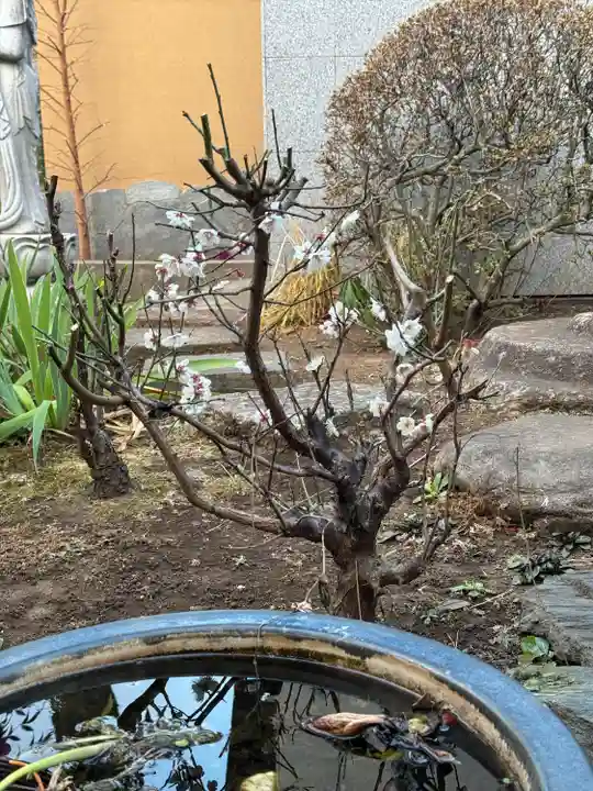 香林院(東京都)