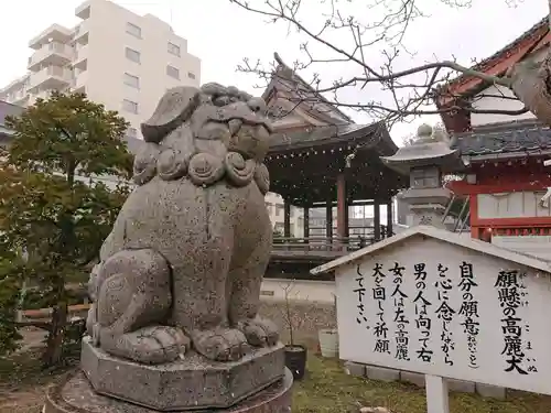 湊稲荷神社の狛犬