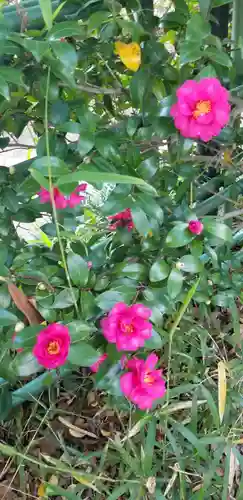 東稲荷神社の自然