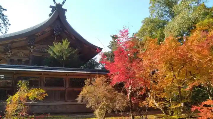出石神社(兵庫県)