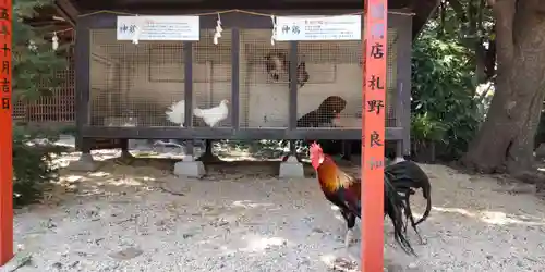 助松神社(大阪府)