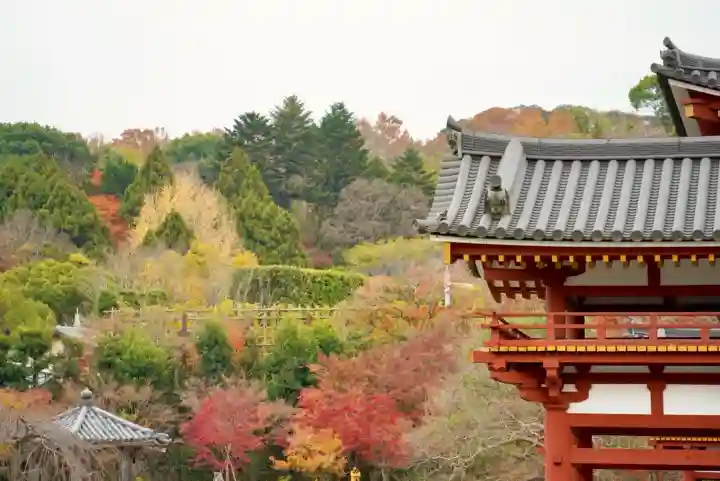 平等院(京都府)