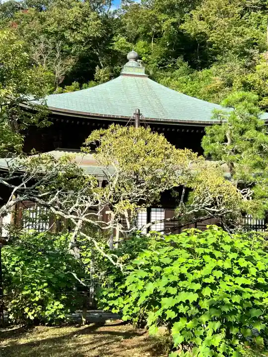 瑞泉寺(神奈川県)