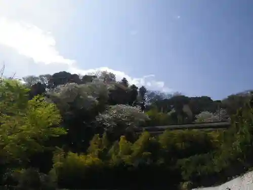 長谷寺のその他建物