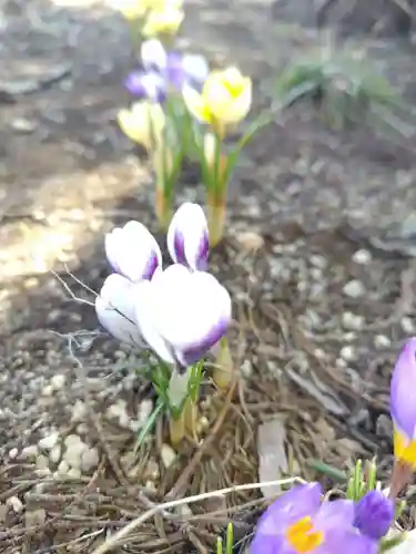 厚別神社(北海道)