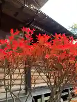 滑川神社 - 仕事と子どもの守り神のその他建物