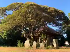 尾世川薬師(千葉県)